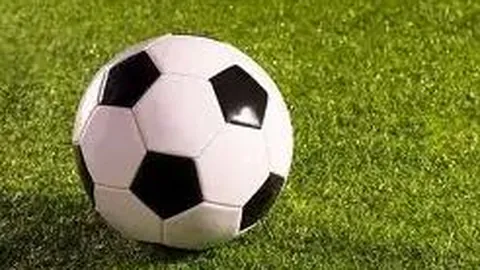 FB体育 产品 095116 s3n